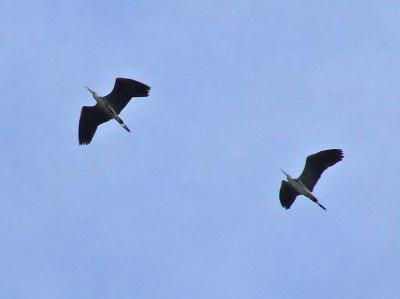 Прикрепленное изображение: 012.jpg